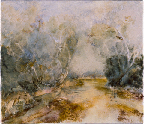 Mandy Martin Lagoon on Irarra Creek, No. 2, 1997; oil, ochre, pigment on linen; 30 x 35 cm; enquire