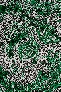 Daniel Boyd Untitled (WMSHGBHSH) (detail), 2025; oil, acrylic and archival glue on canvas; 150 x 364 cm; enquire