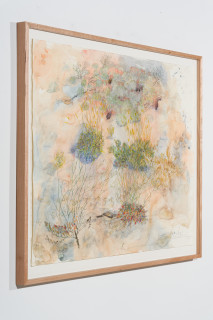John Wolseley Yellow-throated miner sucking nectar from upside–down plants as Burrowing bettongs sleep the day away in their mazy warrens, 2025; watercolour and graphite on paper; 116 x 152 cm; 134 x 168 cm (framed); enquire