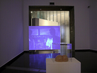 A Constructed World , 0; Big Dirty Love, 2004
dvd 20’, projection, wood

(foreground) Bum, 2000
plastic, Perspex box
; enquire