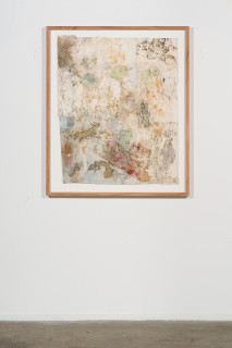 installation view; John Wolseley Mimesis - Leaf-tailed geckos on bark, moss and lichen II, 2025; watercolour, graphite, nature prints and found woodblock prints on paper; 102 x 83 cm; 120 x 101 cm (framed); enquire