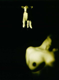 The Armory Show Tracey Moffatt, 0; from the series Pet Thang #4; Photograph; Image size: 110 x 71 cm; Frame size: 115 x 86; Series of 6 images; enquire
