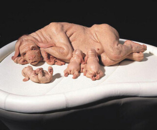 Patricia Piccinini The Young Family, 2002; silicone, polyurethane, leather, human hair; variable; Enquire