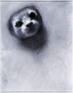 Louise Hearman Untitled #  958, 2002; pastel on paper; 29 x 32 cm; enquire