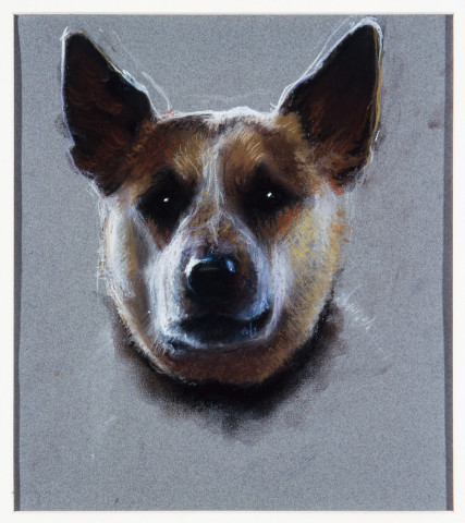 Louise Hearman Untitled #  925, 2002; pastel on paper; 32 x 25 cm; enquire