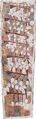 Nyapanyapa Yunupiŋu Seven Wild Apple Trees, 2009; 3505V; Natural earth pigments on bark; 40 x 140 cm; enquire