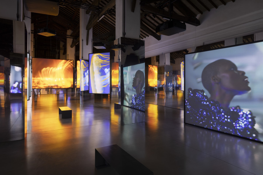 Installation view, All That Changes You. Metamorphosis, Palazzzo Te, Mantua, Italy (4 October 2025 – 1 February 2026) Photo: Andrea Rossetti / Palazzo
