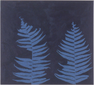 Fiona Foley Bungwul Fern, 1998; oil on canvas; 36 x 39.5 cm; enquire