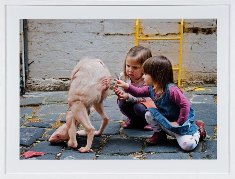 Patricia Piccinini The New Friend, 2009; C-Type photograph; 140 x 100 cm; Edition of 6 + 3 AP; enquire