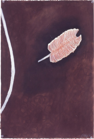 Fiona Foley Grevillea, 1992; pastel on paper; 56 x 38 cm; enquire