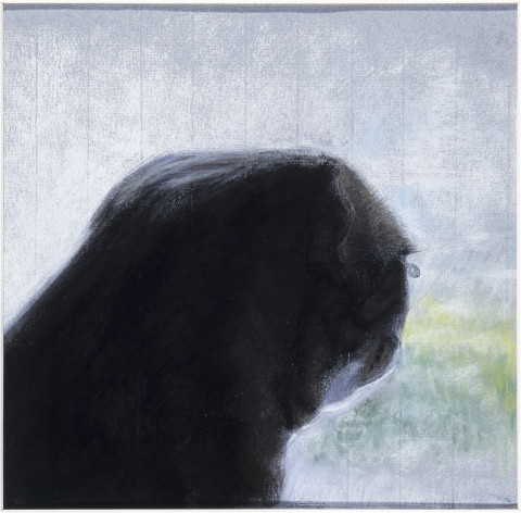 Louise Hearman Untitled #  926, 2002; pastel on paper; 24 x 25 cm; enquire