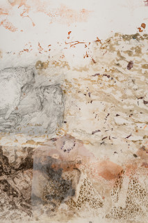 John Wolseley Burrowing Bettongs  - Newhaven Wildlife Sanctuary (detail), 2025-26; graphite, etching and woodblock prints on paper; 72 x 83 cm; 93 x 106 cm (framed); enquire