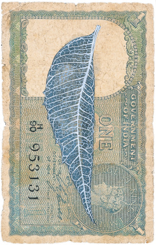 Fiona Hall Leaf Litter, 2000-02; gouache on banknotes; dimensions variable; enquire