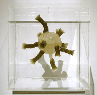 Fiona Hall Headquarters of the Revolutionaries, 2008; Resin; 30 x 30 x 30 cm; Edition of 16; enquire