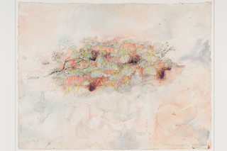 John Wolseley Burrowing bettong warren with one lone bilby burrow, 2025; watercolour and graphite on paper; 77 x 100 cm; 102 x 125 cm (framed); enquire