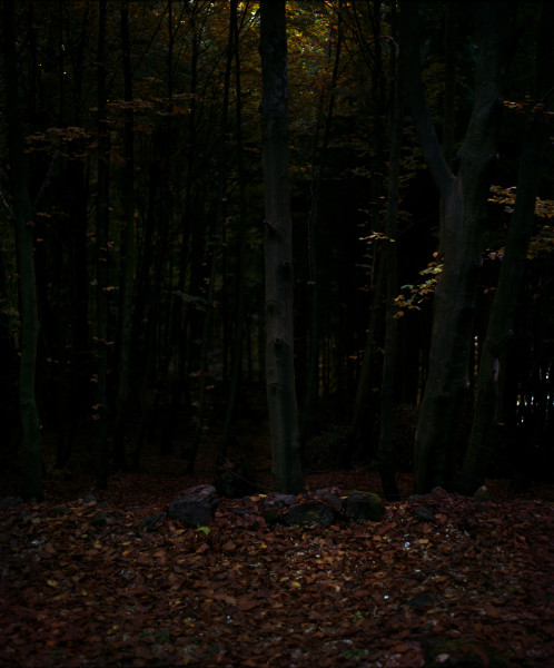 Bill Henson Untitled #5, 1976-2016; from the series Kindertotenlieder; archival inkjet pigment print; 69 x 60 cm; Edition of 10; enquire