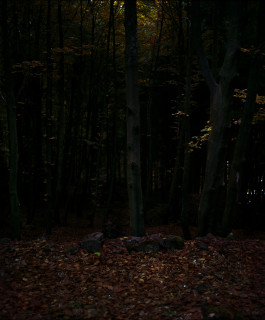 Bill Henson Untitled #5, 1976-2016; from the series Kindertotenlieder; archival inkjet pigment print; 69 x 60 cm; Edition of 10; enquire