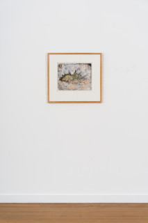 installation view; John Wolseley Burrowing Bettong by its Warren in the Calcrete Rocks, 2024; etching with watercolour; 32 x 40 cm; 59 x 64 cm (framed); Edition of 30; enquire
