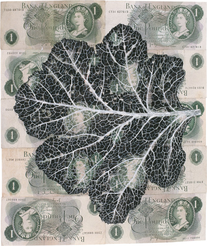 Fiona Hall Leaf Litter (detail), 2000-02; gouache on banknotes; dimensions variable; enquire