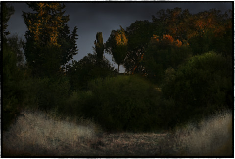 Bill Henson Untitled #9, 2008-09; CL SH685 N13F; archival inkjet pigment print; 127 x 180 cm; Edition of 5 + AP 2; Enquire
