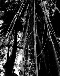 Simryn Gill #2, 1996-98; Silver gelatin photograph; 120 x 95 cm; Set of 16 images, edition of 15; Edition of 15; enquire