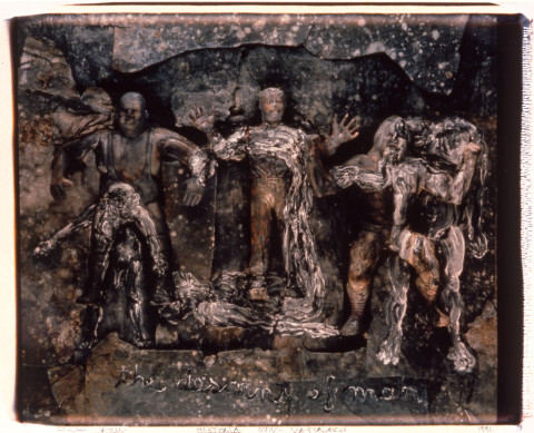 Fiona Hall Historia Non-Naturalis, 1991; polaroid photograph; 92 x 108 cm, framed; enquire