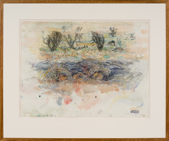 John Wolseley Burrowing Bettongs by their Burrows - Newhaven, NT, 2024; watercolour and graphite on paper; 56 x 76 cm; 83 x 100 cm (framed); enquire