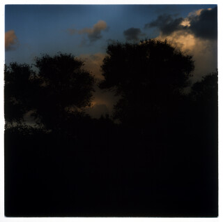 Bill Henson Untitled 50/111, 1990-91; from the series Paris Opera Project; type C photograph; 127 x 127 cm; series of 50; Edition of 10 + AP 2; enquire