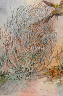 John Wolseley 'The other side of paradise' - Princess Parrot and the last Paradise Parrot (detail), 2026; watercolour and graphite on paper; 70 x 100 cm; 95 x 125 cm (framed); enquire