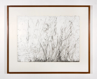 John Wolseley Burnt Scrub Trace No. II Gahnia sedge, 2002; carbonised wood on paper; 57 x 77 cm; enquire