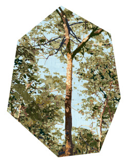 Gary Carsley D.122 Golden Summer 2, 2012-20; Satin UV retardant laminate over unique state Lambda Type “C” print adhered to 3 mm Dibond Polyhedra, 6 mm MDF Split battens; 116.42 x 88.27 cm; more info; enquire