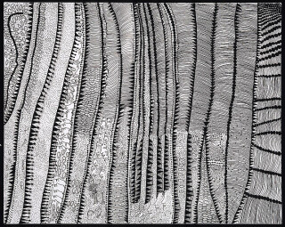 Yayoi Kusama I Like Myself, 2006; silkscreen on canvas; 130.3 x 162 cm; Edition of 5; enquire