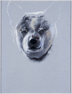 Louise Hearman Untitled #  930, 2002; pastel on paper; 32 x 25 cm; enquire