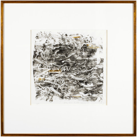 John Wolseley Grey Box Beetle Umwelt, 2015; relief print on paper; Edition of 20 + AP 1; enquire