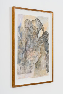 John Wolseley Tawny frogmouth, 2026; watercolour, graphite and woodblock prints on paper; 75 x 54 cm; 93 x 68 cm (framed); enquire