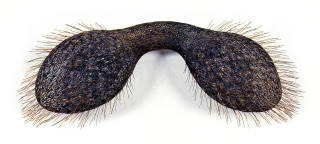 Bronwyn Oliver Pair, 1997; copper; 22 x 60 x 18 cm; enquire