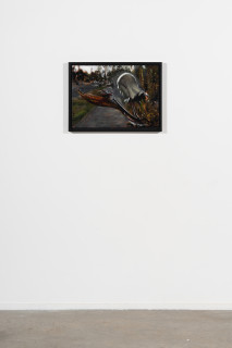 installation view; Louise Hearman Untitled #1534, 2024; oil on masonite; 44 x 61 cm; enquire