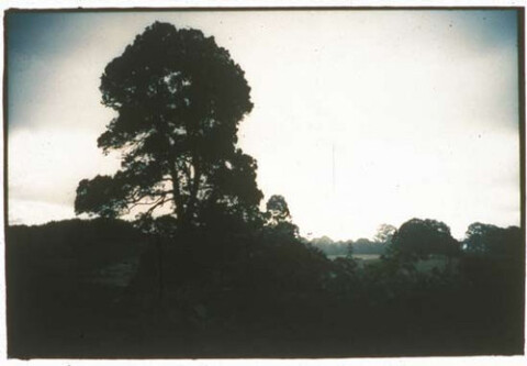 Bill Henson Untitled 1991/95, 1991-95; type C photograph; 127 x 180 cm; edition of 5; enquire
