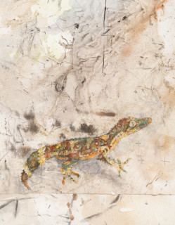 John Wolseley Mimesis - Leaf-tailed geckos on bark, moss and lichen I (detail), 2025; watercolour, graphite, charcoal, frottage and nature prints on paper; 80 x 200 cm; 97 x 221 cm (framed); enquire