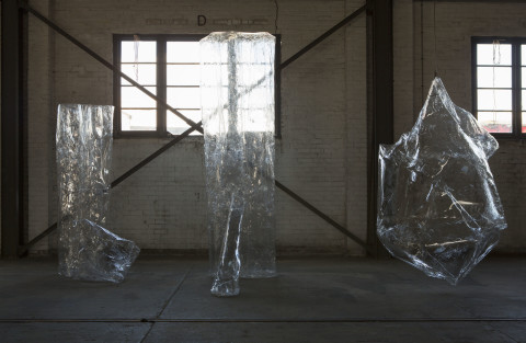 Mikala Dwyer The Hollows (detail), 2014; PETG; dimensions variable; enquire