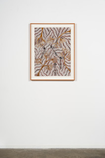 installation view; Yalmakany Marawili Burukpili, 2025; 208-25; earth pigment on paper; 89.5 x 69.5 cm; enquire