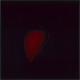 Anne MacDonald 21, 1993; from the series Ophelia; colour photograph; 27.5 x 27.5 cm; enquire