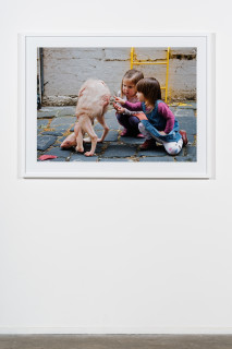 installation view; Patricia Piccinini The New Friend, 2009; C-Type photograph; 140 x 100 cm; Edition of 6 + 3 AP; enquire