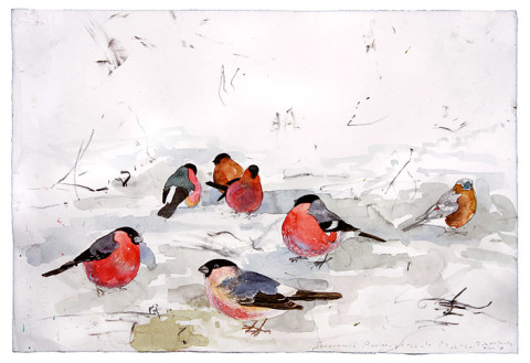John Wolseley 15. Bullfinches in Snow - Homage to Bruno Liljefors , 2008; found Charcoal, graphite and watercolour on paper; 38 x 57 cm; enquire