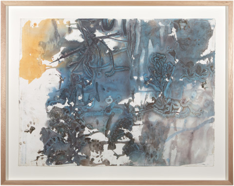 John Wolseley Monsoon rainforest flora, 2015; watercolour on paper; 93 x 118 cm; enquire
