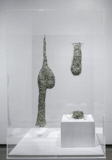 Fiona Hall Nests from Tender, 2016; US dollars; dimensions variable; enquire