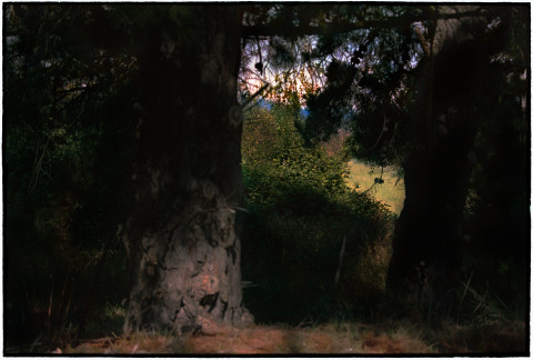 Bill Henson Untitled, 2018-19; CL GW SH2 N27; archival inkjet pigment print; 127 x 180 cm; edition of 5 + 2 AP; Enquire