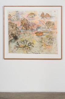 installation view; John Wolseley Walk across geological strata - Proterozoic to late Silurian: each step a million years III, 2025-26; watercolour, graphite, charcoal and nature prints on paper; 107 x 124 cm; 134 x 149 cm (framed); enquire