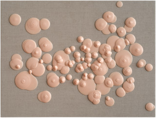 Patricia Piccinini Without regard to context or scale, 2012; silicon, linen; 90 x 120 cm; enquire