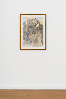 installation view; John Wolseley Tawny frogmouth, 2026; watercolour, graphite and woodblock prints on paper; 75 x 54 cm; 93 x 68 cm (framed); enquire
